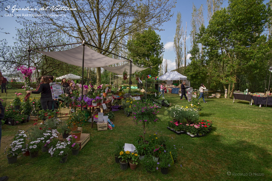 Partecipa come espositore a Giardini del Volturno – 2019