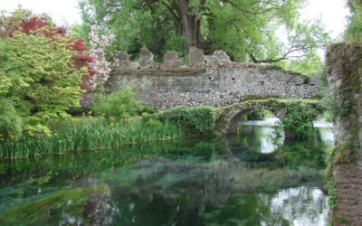 Presentazione del libro Le specie vegetali del Giardino di Ninfa: alberi, rose e arbusti 1/Gli Alberi