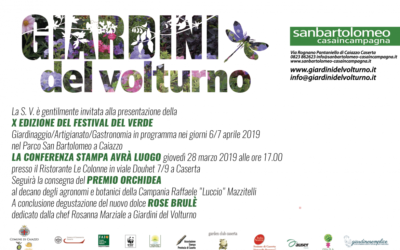 Conferenza Stampa 28 Marzo 2019