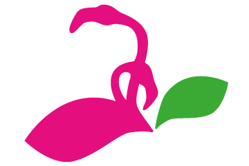 Giardini Del Volturno